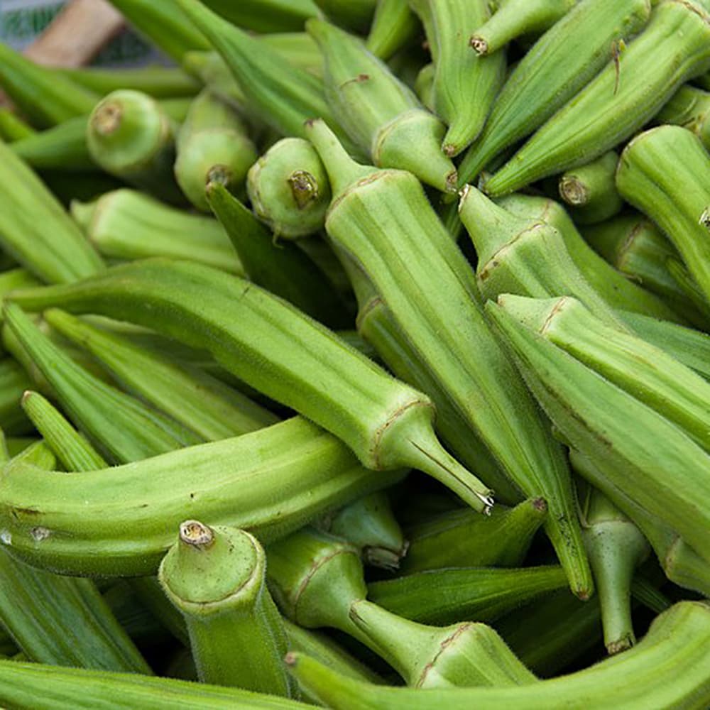 Okra - Bild 2